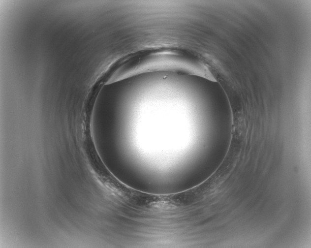 X0000066500544200603201326
