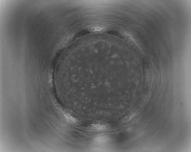 X0000066500545200603201326