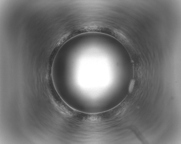 X0000066500546200603201326