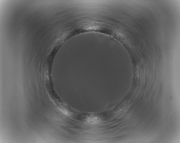 X0000066500547200603201326