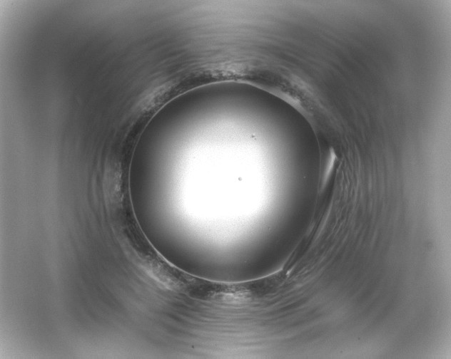 X0000066500548200603201326