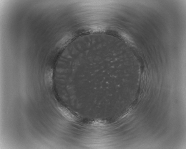 X0000066500550200603201326
