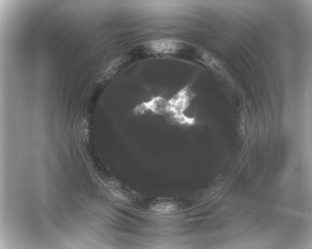 X0000066500551200603201326