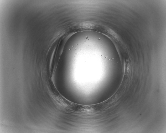 X0000066500552200603201326