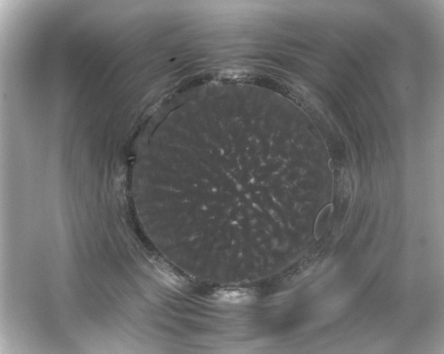 X0000066500557200603201326