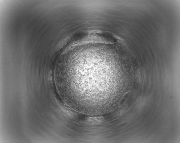 X0000066500571200603201326
