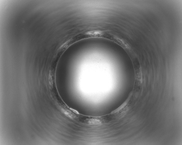 X0000066500572200603201326