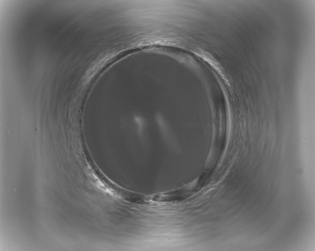 X0000066500577200603201325