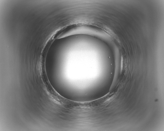 X0000066500580200603201325
