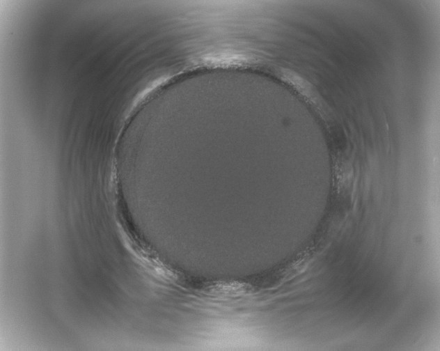 X0000066500583200603201325