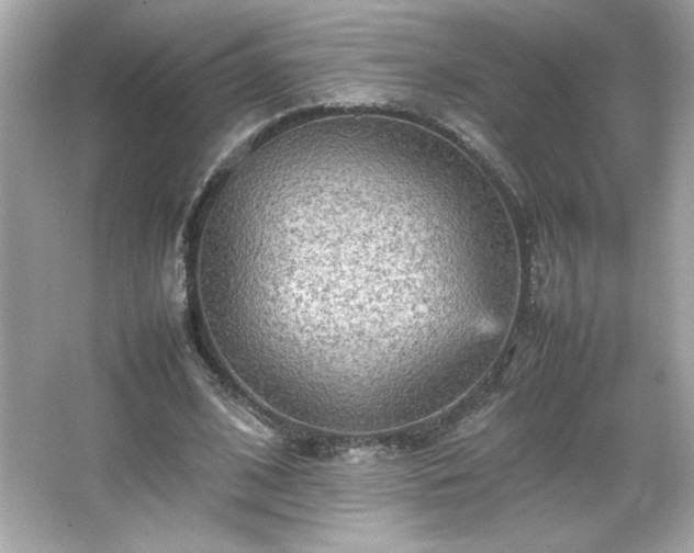X0000066500584200603201325