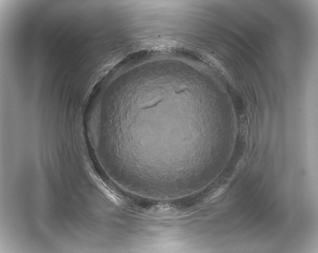 X0000066500589200603201325