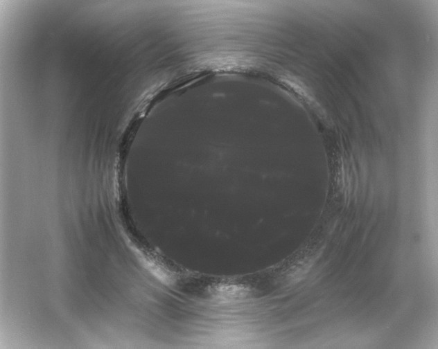 X0000066500590200603201325