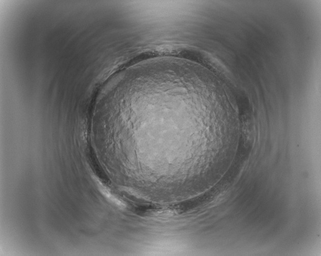 X0000066500593200603201325