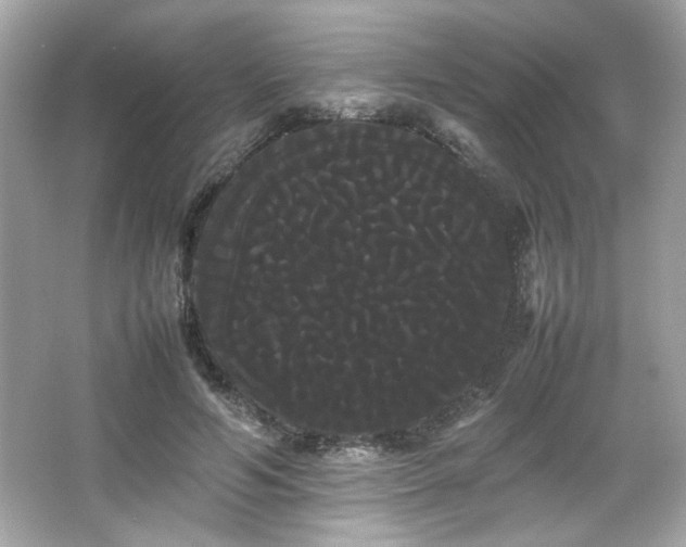 X0000066500594200603201325