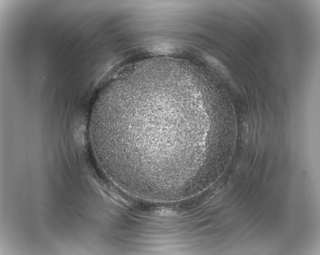 X0000066500596200603201325