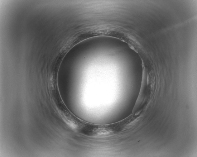 X0000066500597200603201325