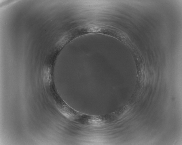 X0000066500598200603201325