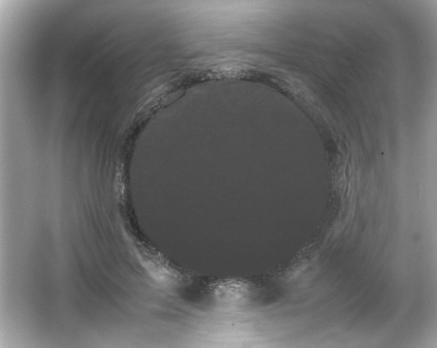 X0000066500599200603201325