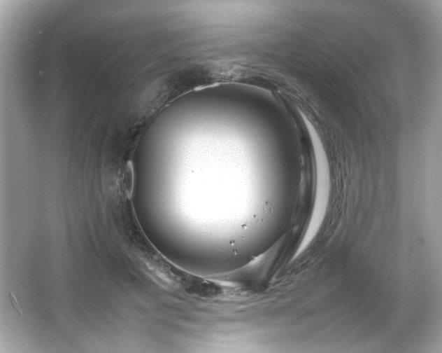 X0000066500601200603201325