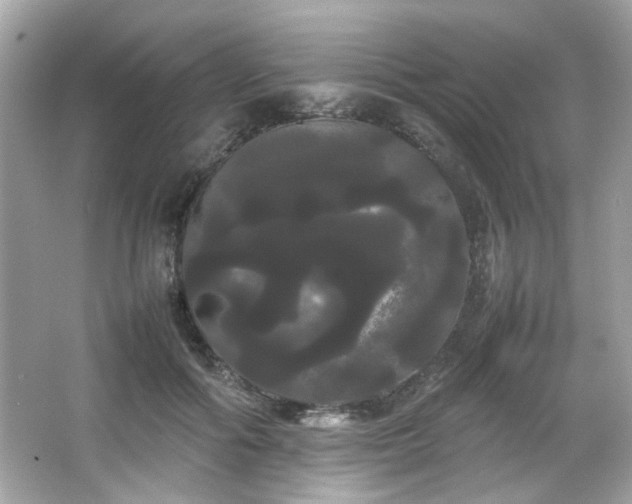 X0000066500602200603201325