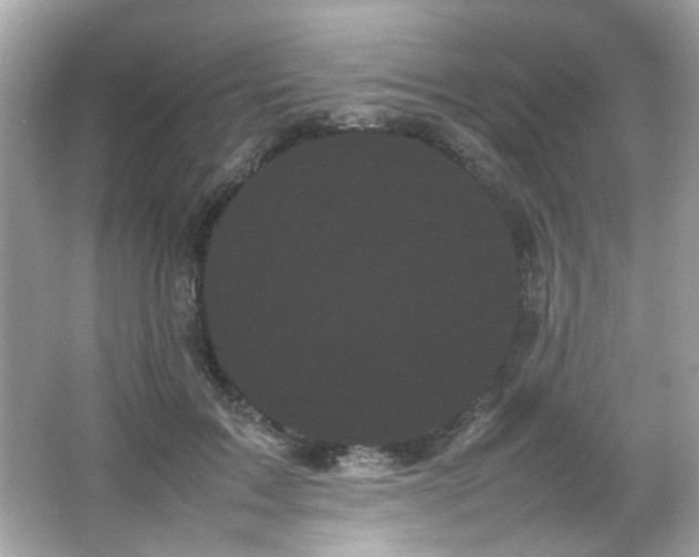 X0000066500603200603201325