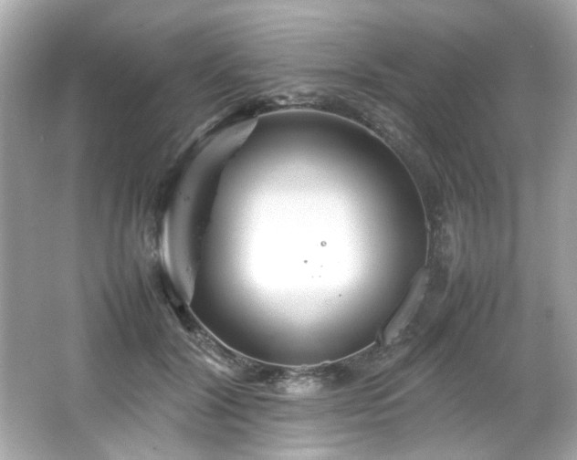 X0000066500604200603201325