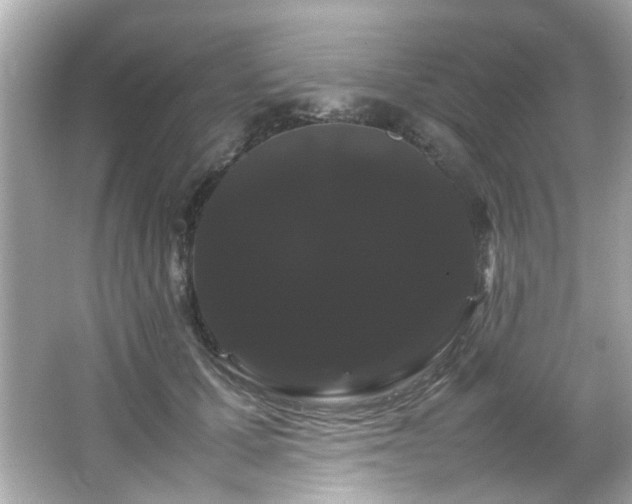 X0000066500607200603201325