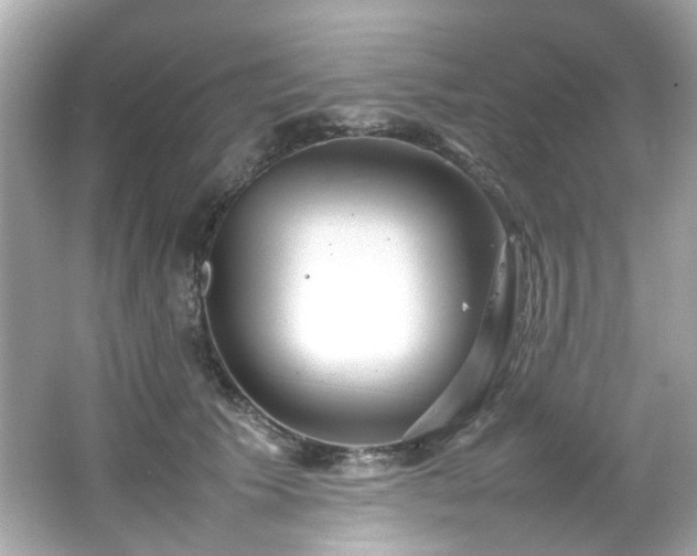 X0000066500609200603201325