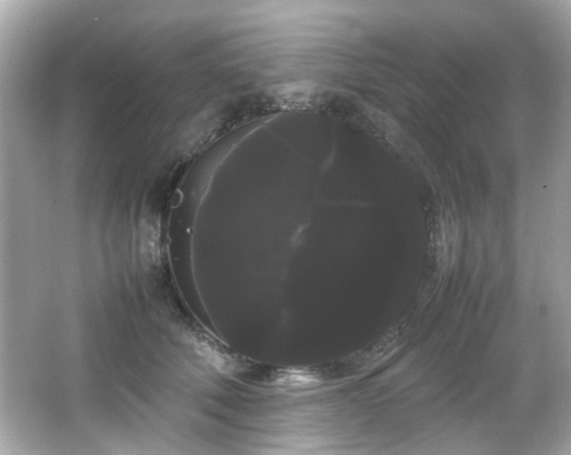 X0000066500610200603201325