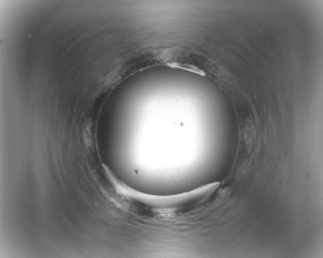 X0000066500611200603201325