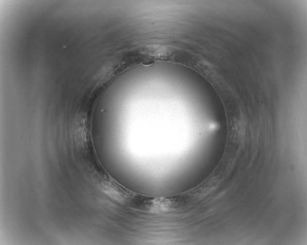 X0000066500612200603201325