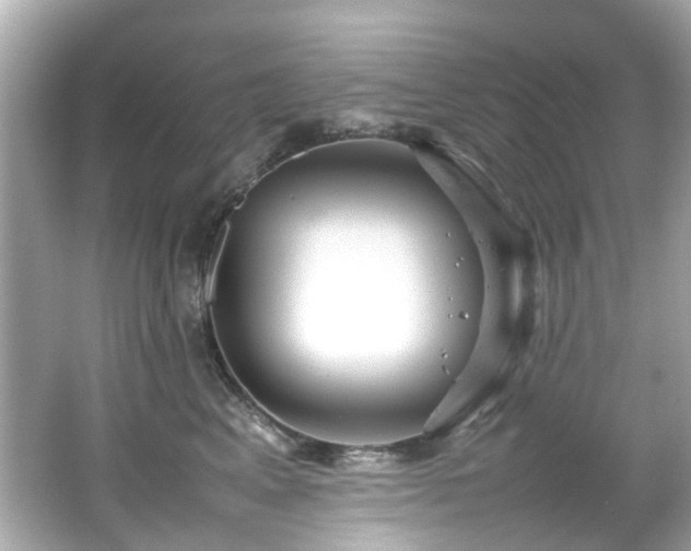 X0000066500617200603201325