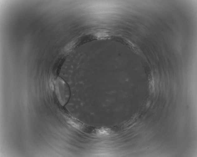 X0000066500618200603201325