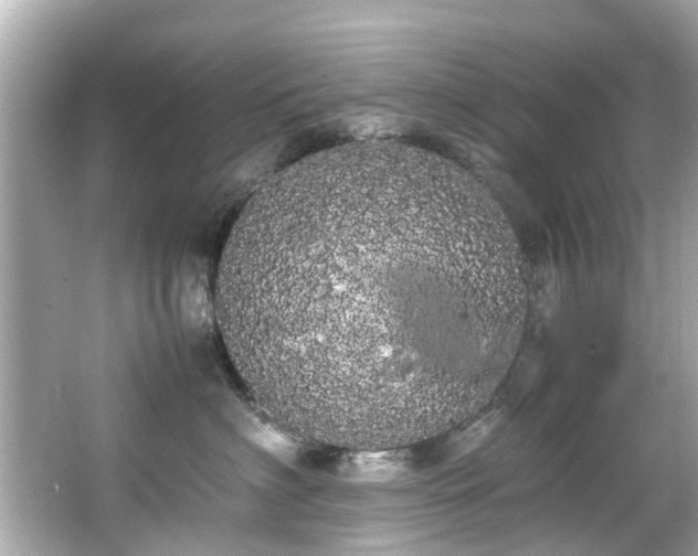 X0000066500622200603201325