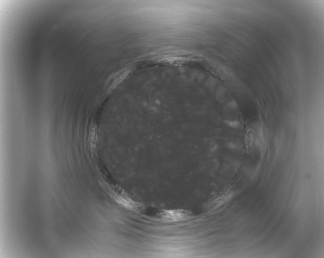 X0000066500623200603201325