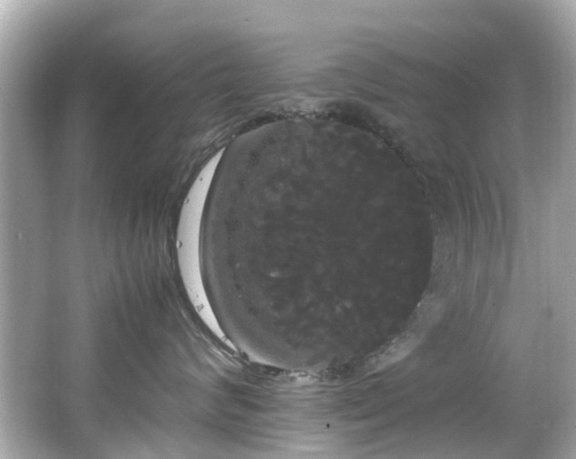 X0000066500624200603201325