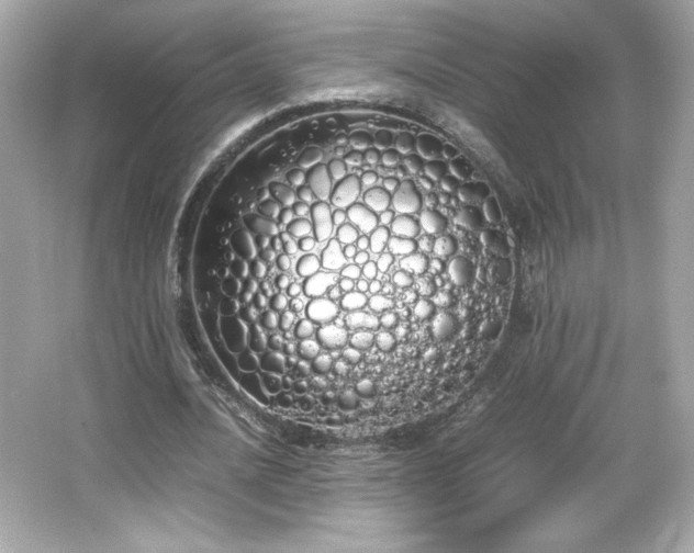 X0000066500628200603201324