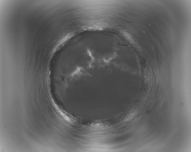 X0000066500634200603201324