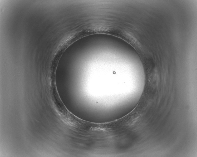 X0000066500635200603201324