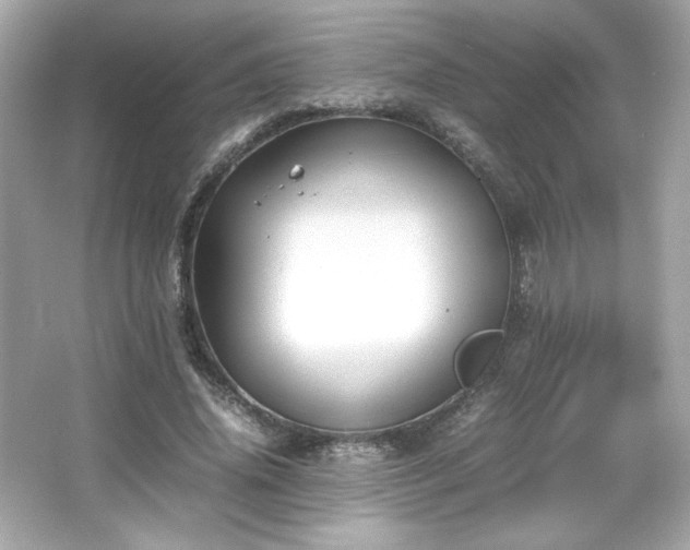 X0000066500636200603201324