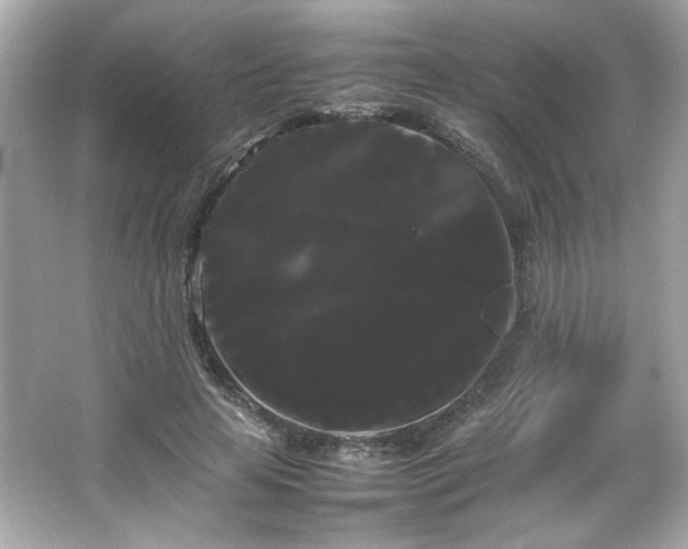 X0000066500641200603201324