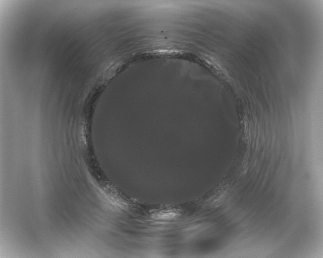 X0000066500643200603201324