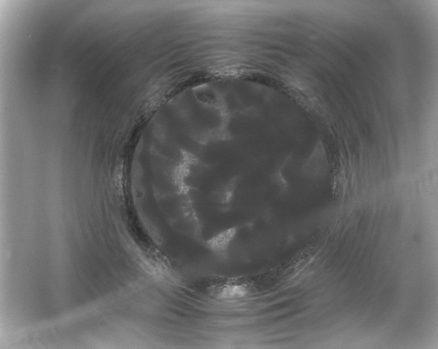 X0000066500647200603201324