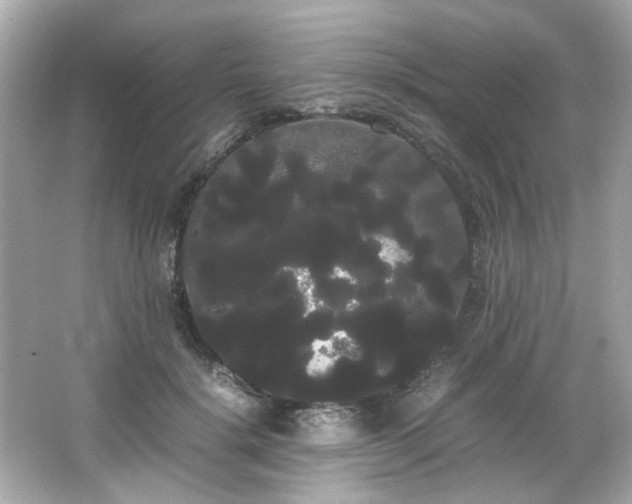 X0000066500652200603201324