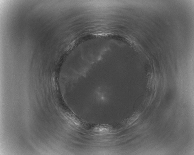 X0000066500655200603201324