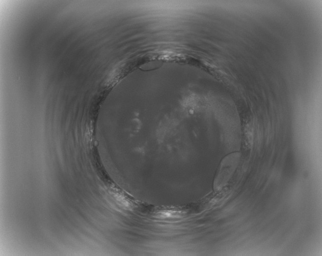 X0000066500657200603201324