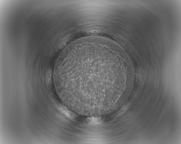 X0000066500660200603201324