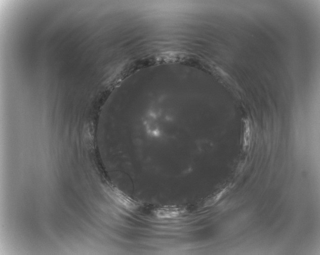 X0000066500661200603201324