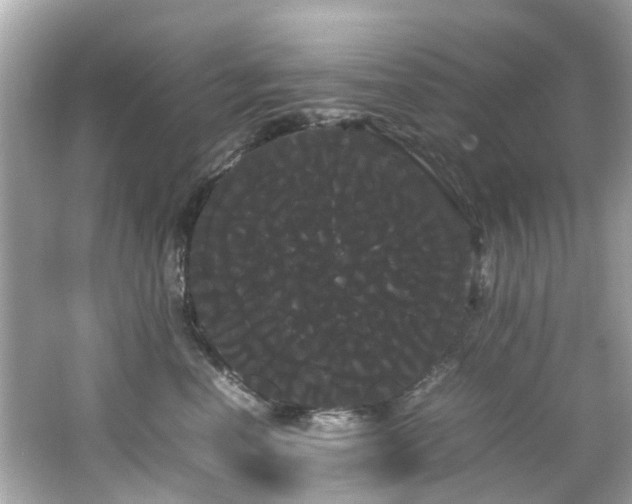 X0000066500666200603201324